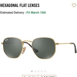Polarized Ray-Ban Hexagonal Sunglasses